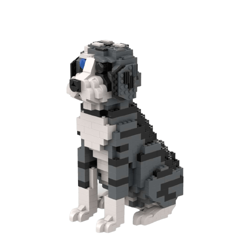 Aussiedoodle - Aussiedoodle