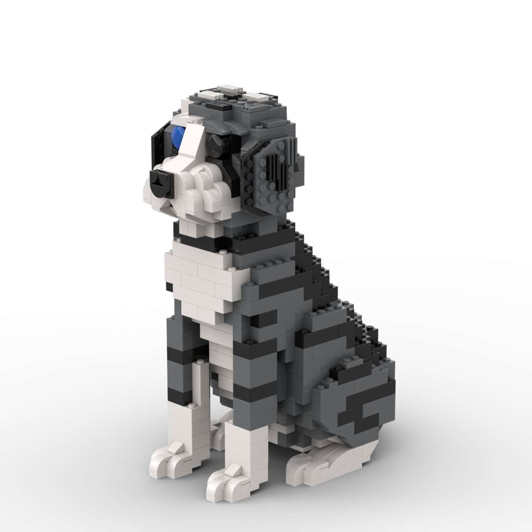 Aussiedoodle - Aussiedoodle