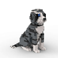 Aussiedoodle - Aussiedoodle