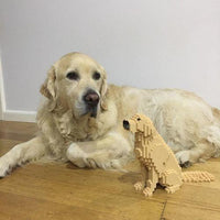 normal-yellow-sitting