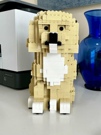 Goldendoodle - LARGE - Black - Goldendoodle