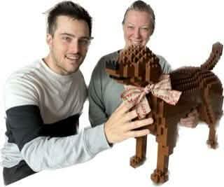 Labrador Retriever (SALE) - Dark Brown - NORMAL - normal - darkbrown