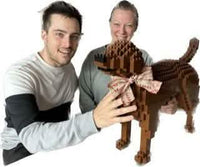 Labrador Retriever (SALE) - Dark Brown - NORMAL - normal - darkbrown