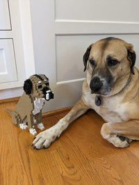 Custom Pet Kit - Medium - H11.7xW6.5xL8.9 Inches - Custom Pet Kit