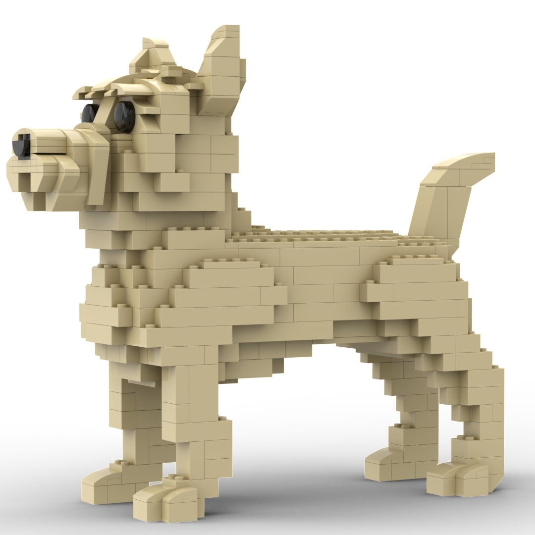 Cairn Terrier - Black - Cairn Terrier