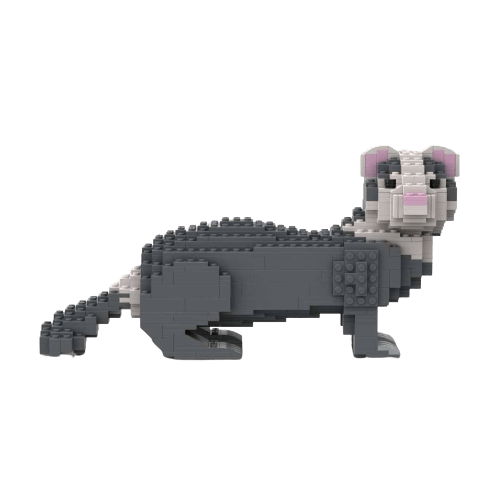 Ferret - Ferret