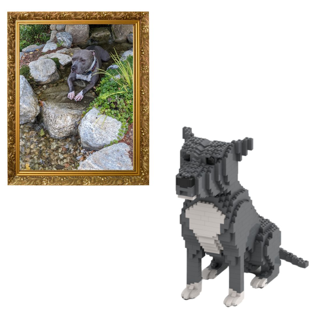 Custom Pet Kit - Medium - H11.7xW6.5xL8.9 Inches - Custom Pet Kit