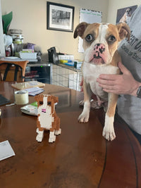 Custom Pet Kit - Medium - H11.7xW6.5xL8.9 Inches - Custom Pet Kit