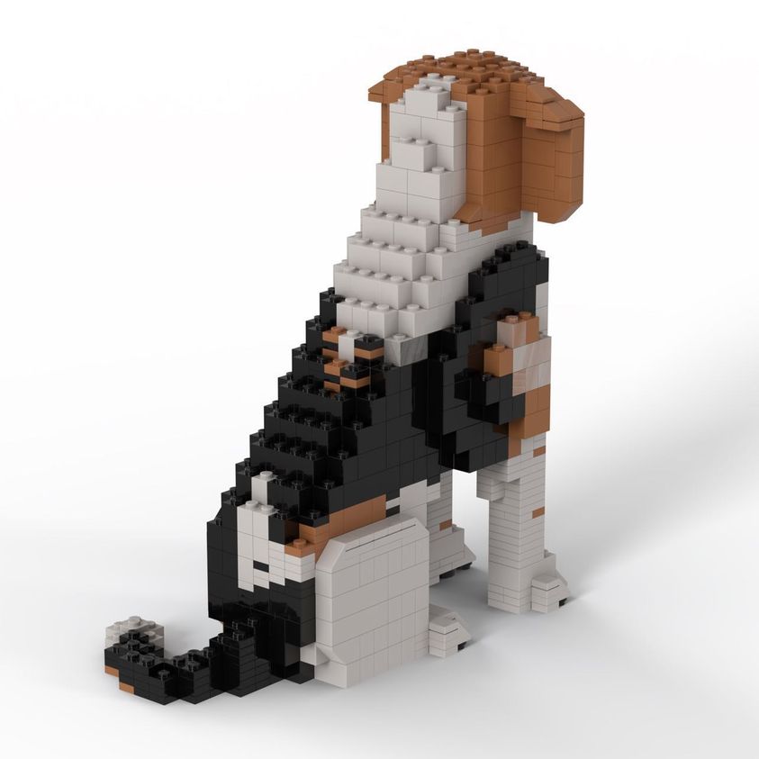 Beagle - Beagle