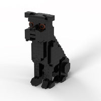 Brussels Griffon - Brussels Griffon