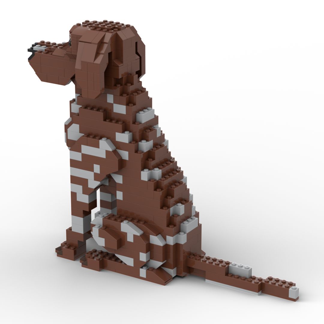 German Shorthaired Pointer - German Shorthaired Pointer