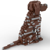 German Shorthaired Pointer - German Shorthaired Pointer