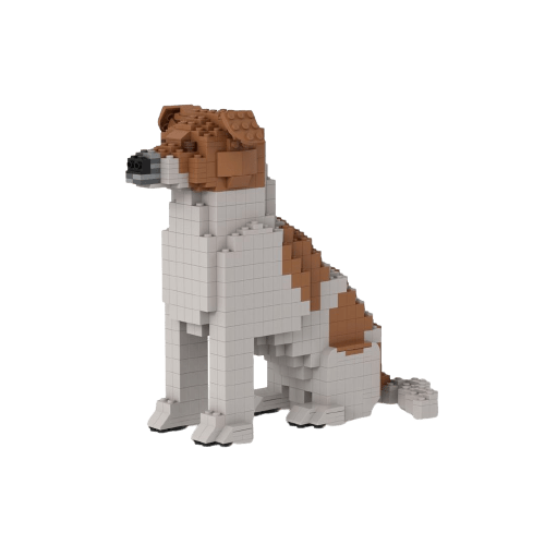 Jack Russell - Jack Russell