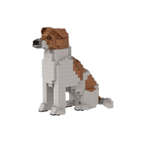 Jack Russell - Jack Russell