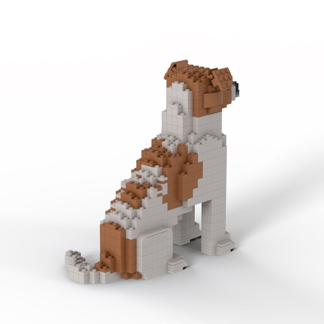 Jack Russell - Jack Russell