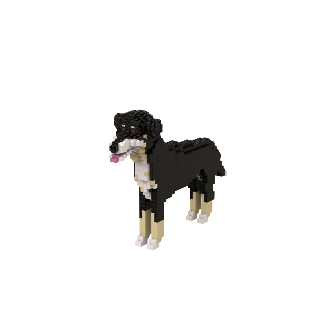 Custom Pet Kit - Medium - H11.7xW6.5xL8.9 Inches - Custom Pet Kit