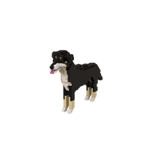 Custom Pet Kit - Medium - H11.7xW6.5xL8.9 Inches - Custom Pet Kit