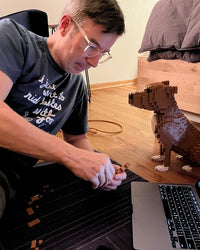 Pit bull - Budget/Grey - Pit bull