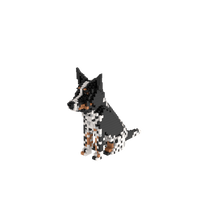 Custom Pet Kit - Medium - H11.7xW6.5xL8.9 Inches - Custom Pet Kit