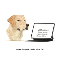 Labrador Bust - Normal - Labrador Bust