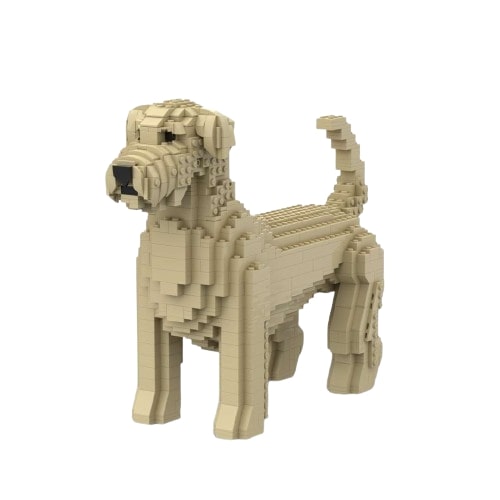 Soft Coated Wheaten Terrier - Soft Coated Wheaten Terrier