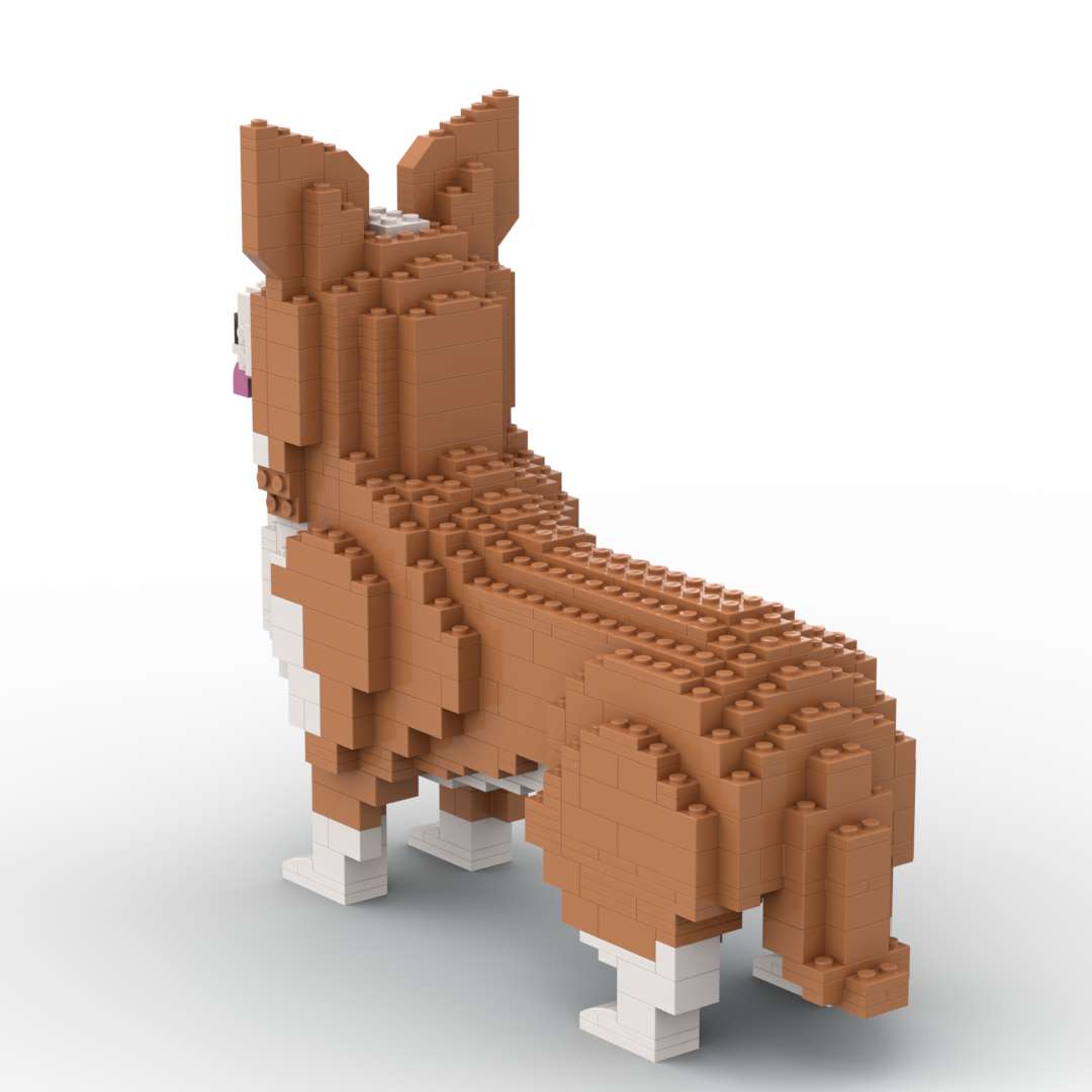 Welsh Corgi - Welsh Corgi