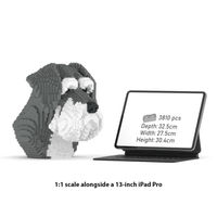 Schnauzer Bust - Normal - Schnauzer Bust