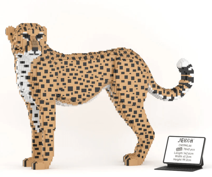 Cheetah - Large - Cheetah