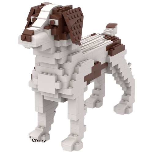 Brittany - Dark Brown/White - Brittany