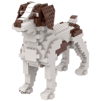 Brittany - Dark Brown/White - Brittany