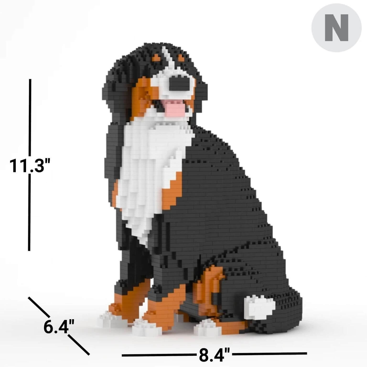 Bernese Mountain Dog - Sitting - NORMAL - Bernese Mountain Dog