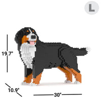 Bernese Mountain Dog - Sitting - NORMAL - Bernese Mountain Dog