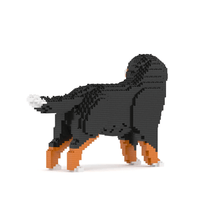 Bernese Mountain Dog - Watching - NORMAL - Bernese Mountain Dog