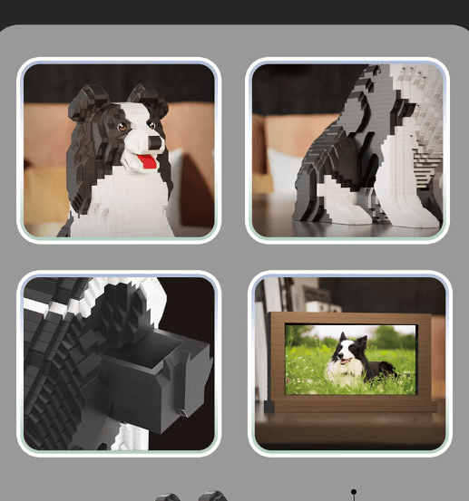 Border Collie (2025) - Border Collie (2025)