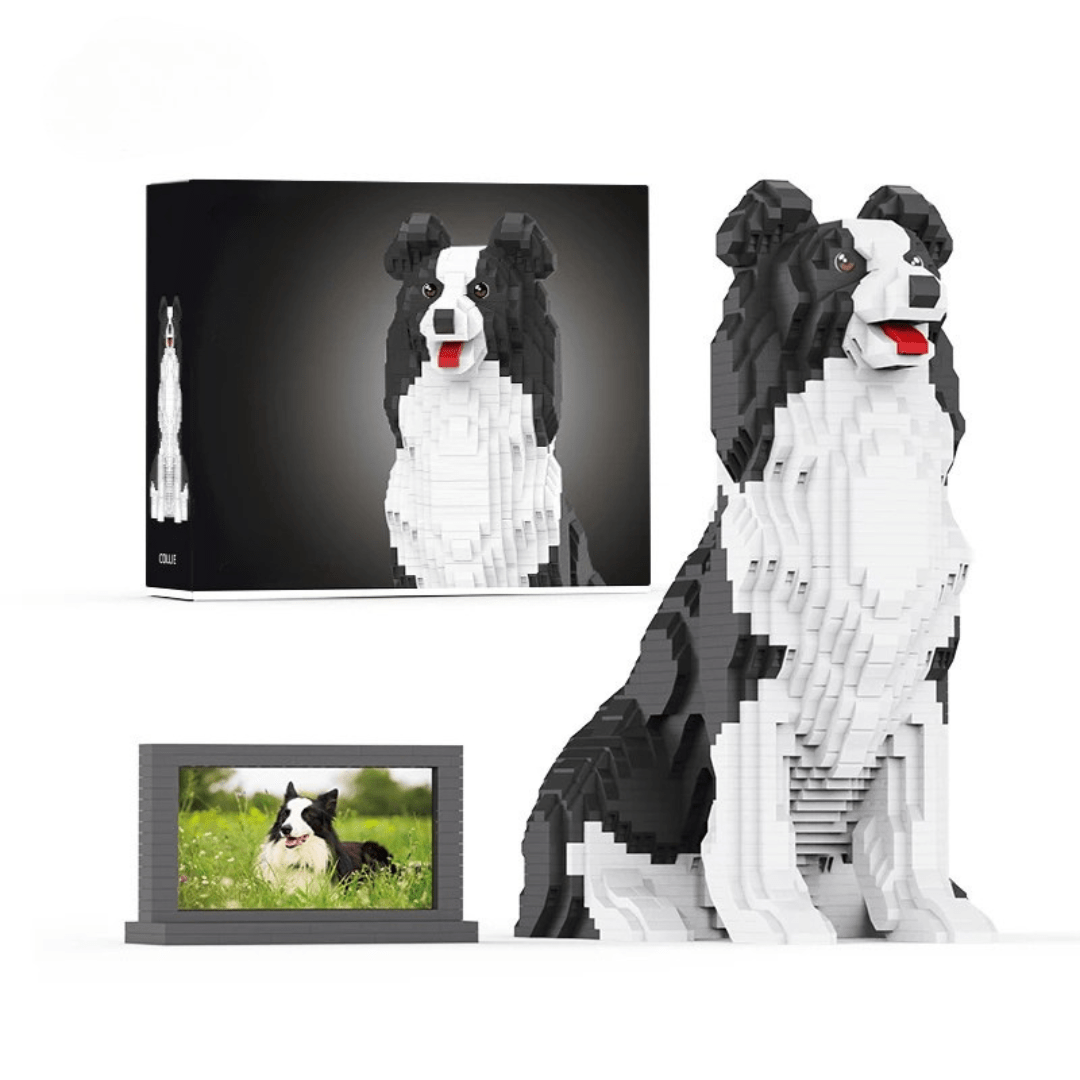 Border Collie (2025) - Border Collie (2025)