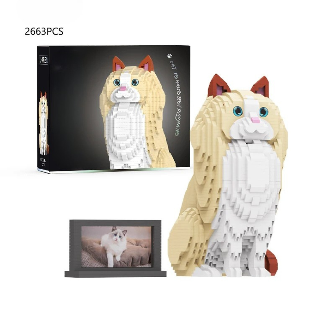 Ragdoll Cat (2025)