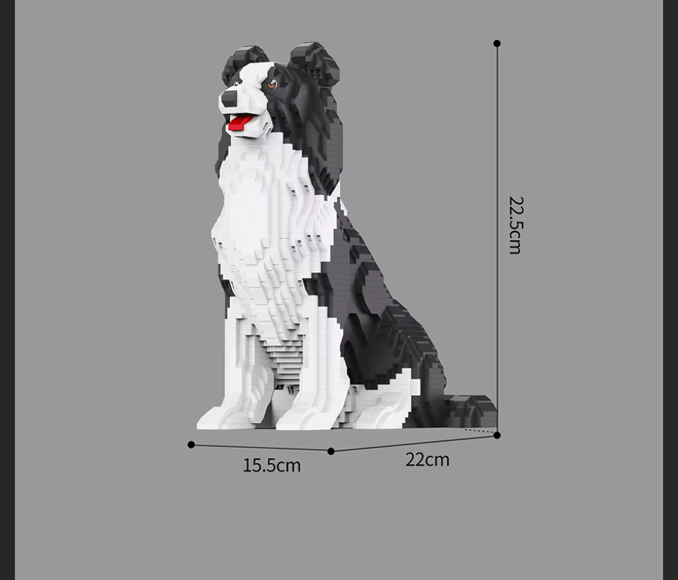 Border Collie (2025)