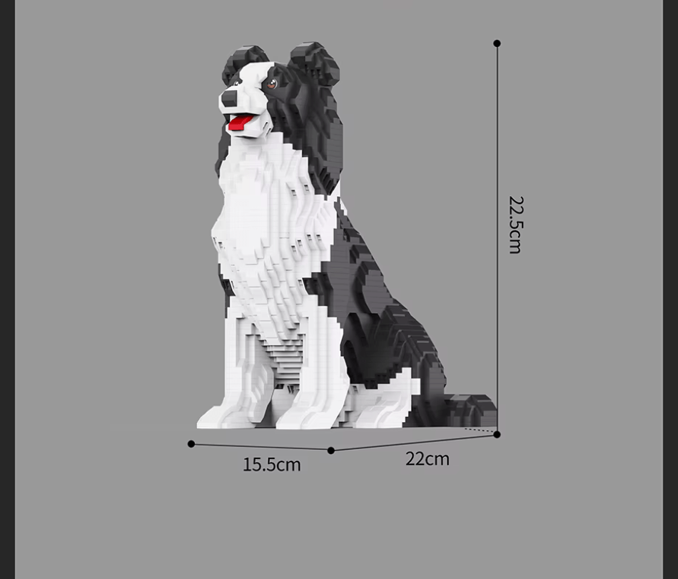 Border Collie (2025) - Border Collie (2025)