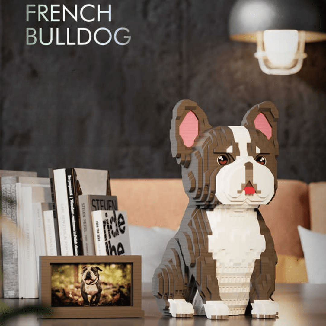 French Bulldog (2025) - French Bulldog (2025)