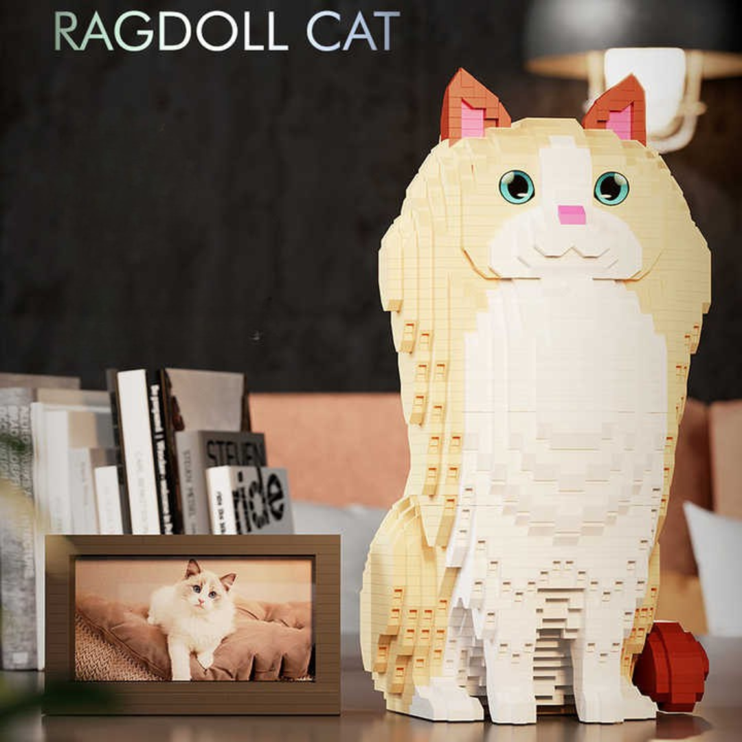 Ragdoll Cat (2025)