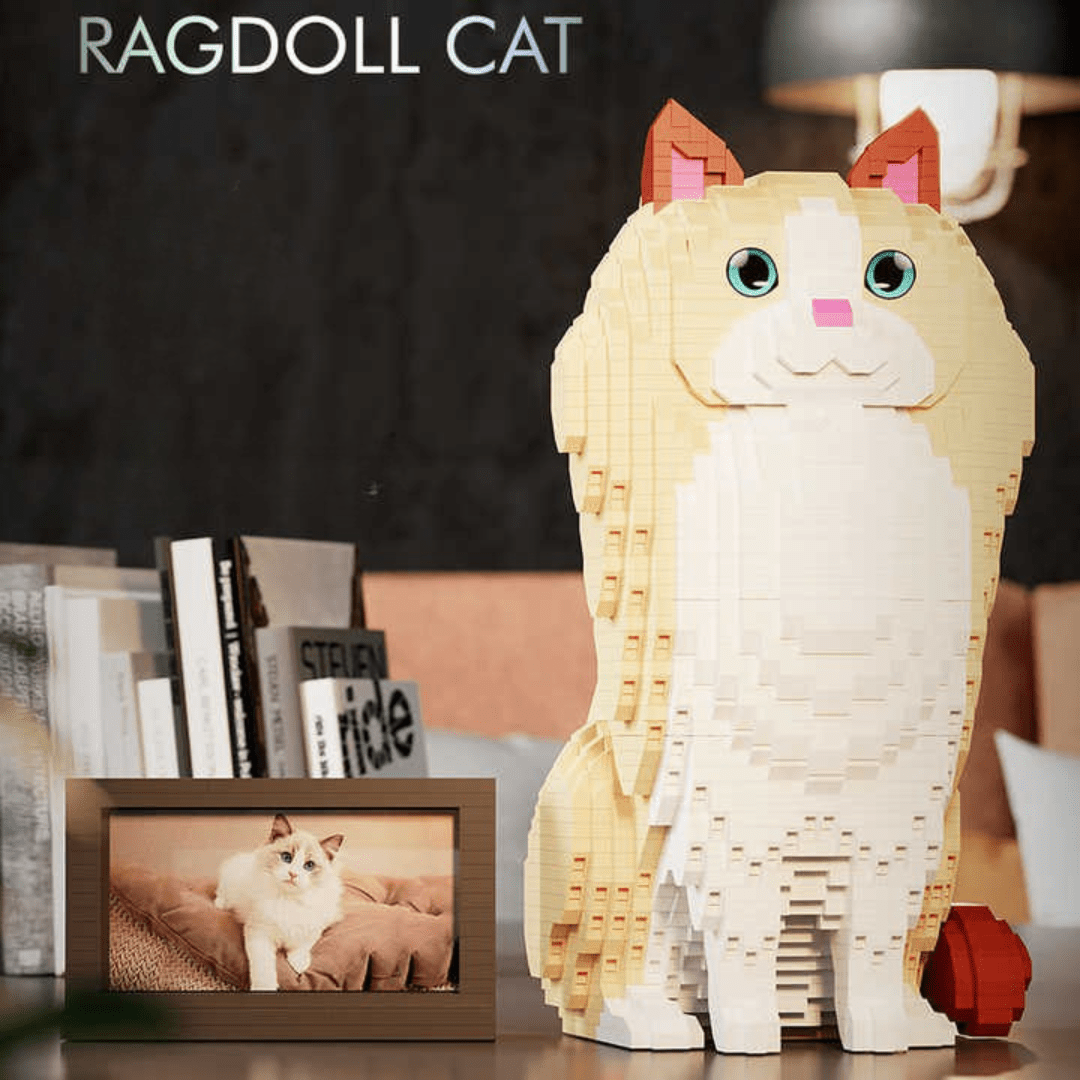 Ragdoll Cat (2025) - Ragdoll Cat (2025)
