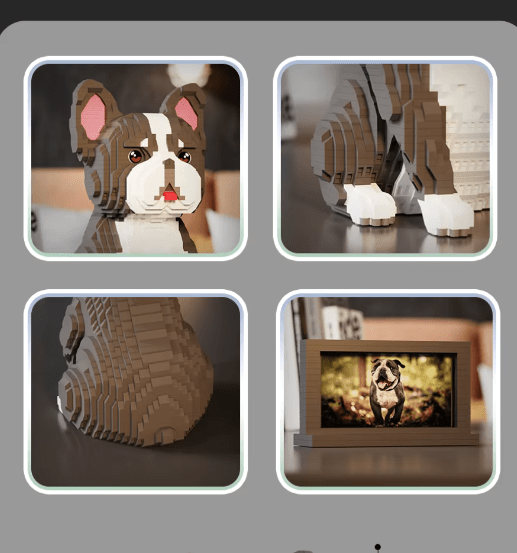 French Bulldog (2025) - French Bulldog (2025)