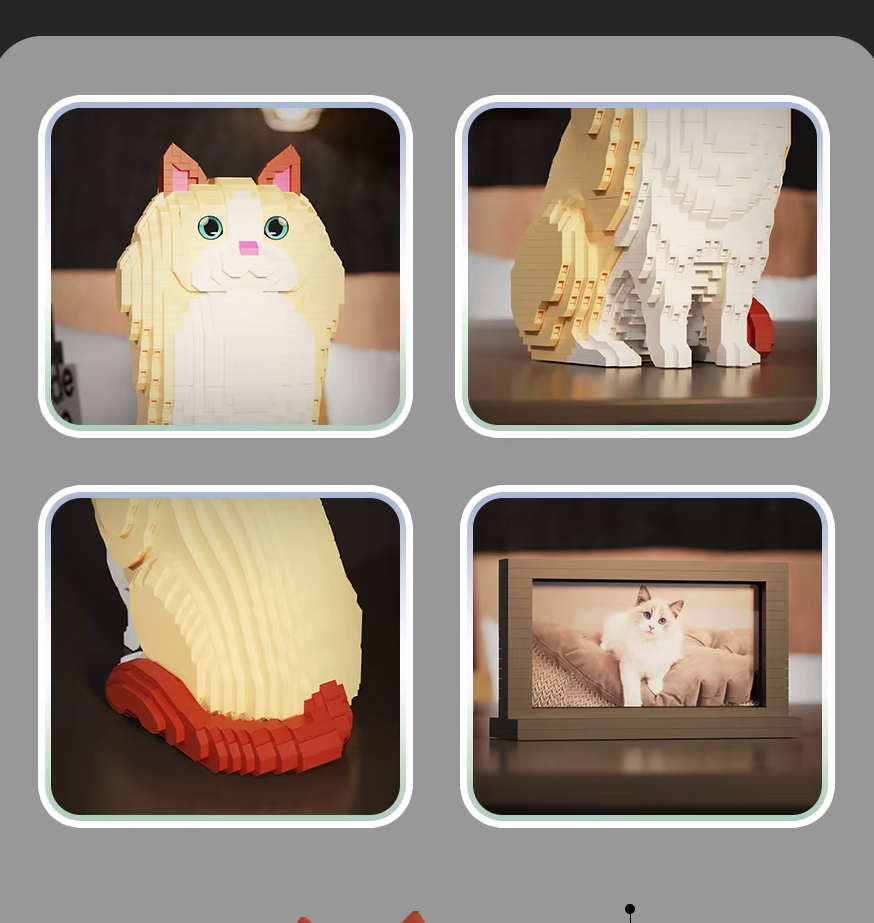 Ragdoll Cat (2025)