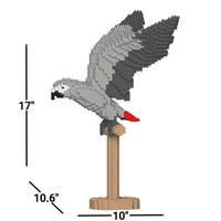 African Grey