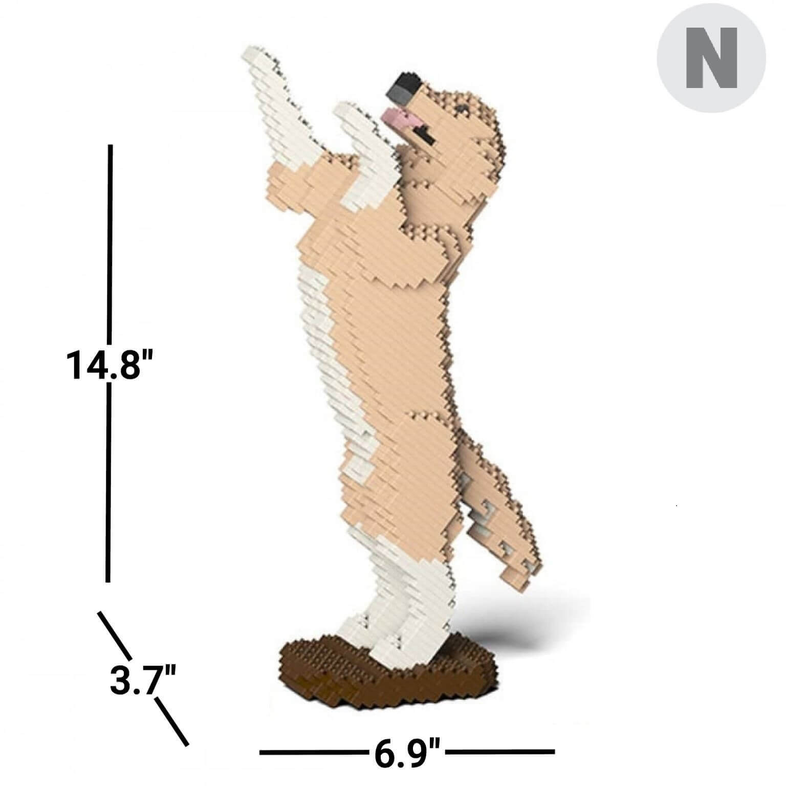 normal-yellowandwhite-tricks