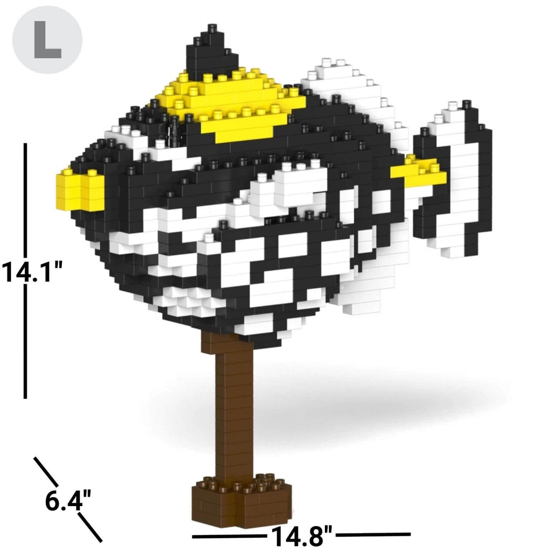 Clown Triggerfish - LARGE - Clown Triggerfish