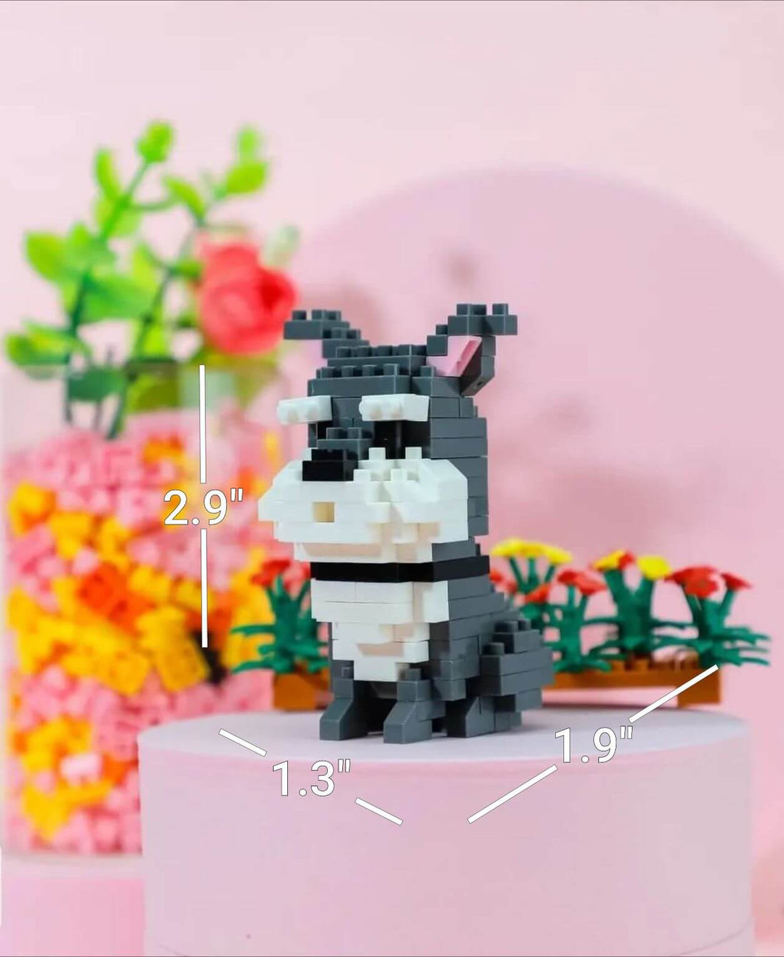 Mini Schnauzer - One - Mini Schnauzer