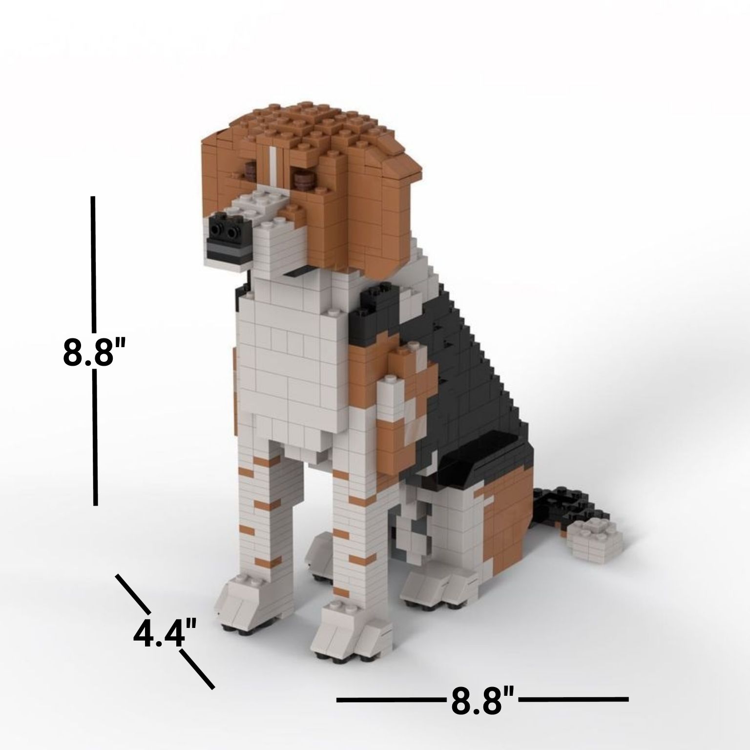 Beagle - Beagle