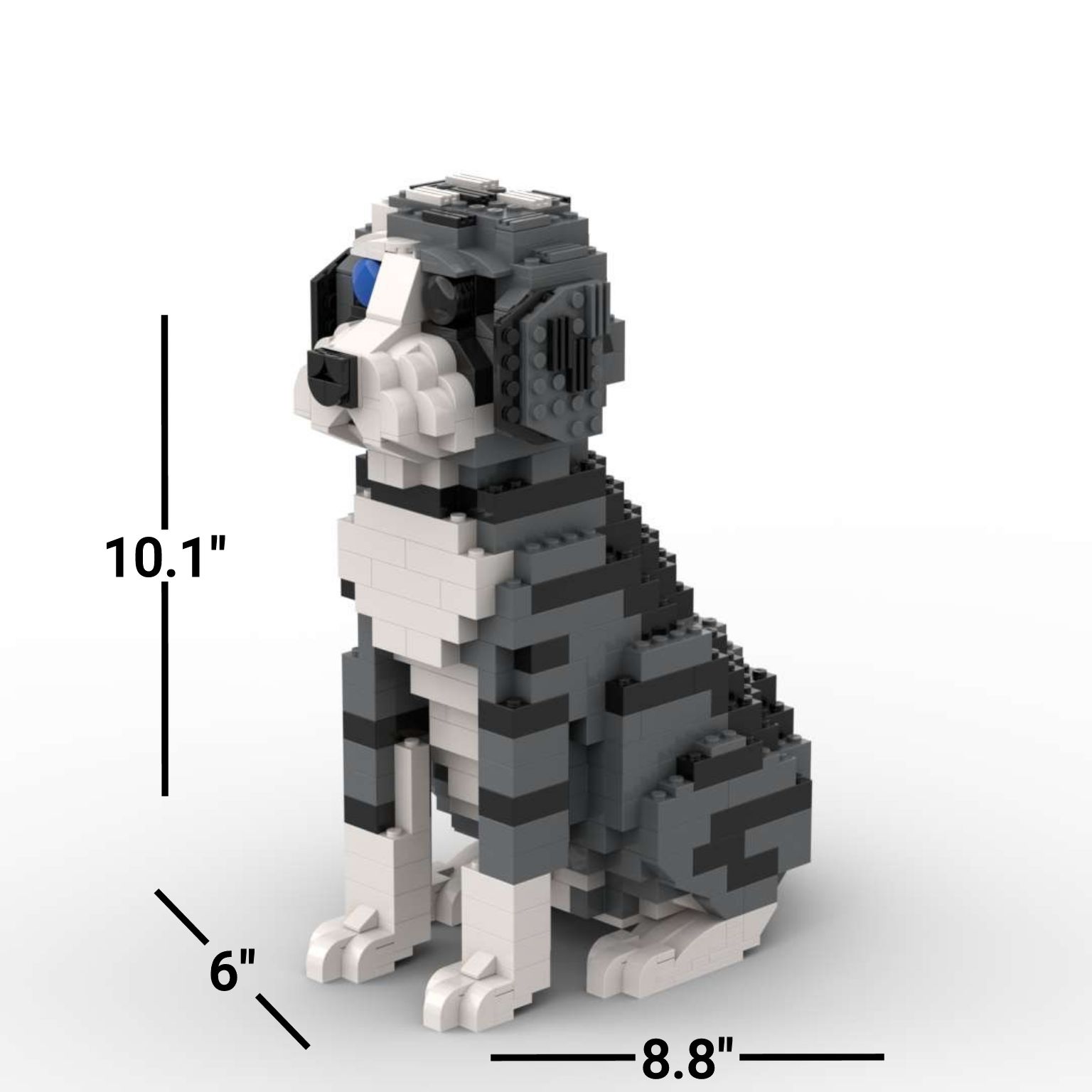 Aussiedoodle - Aussiedoodle