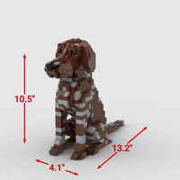 German Shorthaired Pointer - German Shorthaired Pointer